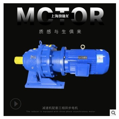 分體直聯(lián)擺線(xiàn)針輪減速機(jī)配套三相異步電動(dòng)機(jī)大扭矩可定制加工生產(chǎn)