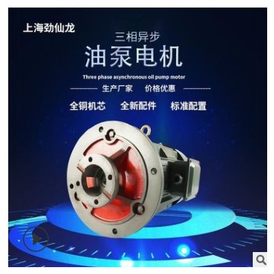 生產(chǎn)銷(xiāo)售三相異步油泵內(nèi)插電動(dòng)機(jī)3kW到15kW支持其他型號(hào)定制加工