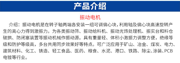 震動電機_02.jpg