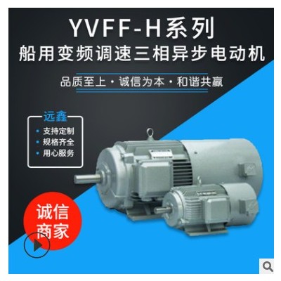 YVFF-H系列 船用變頻調(diào)速三相異步電動(dòng)機(jī) 廠家直供 船用電機(jī)定制