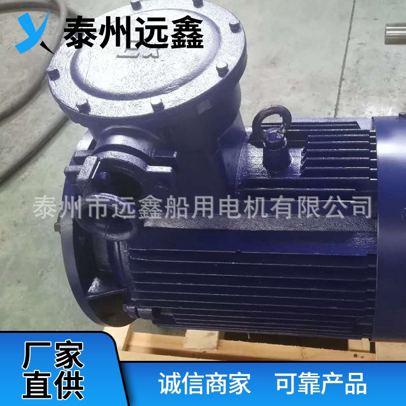 防爆電機(jī) (4).jpg