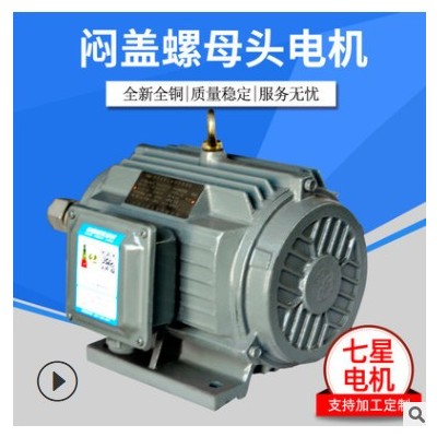 廠家直銷全新全銅悶蓋螺母頭電機(jī) 靜音轉(zhuǎn)軸電機(jī)馬達(dá)悶蓋螺母頭