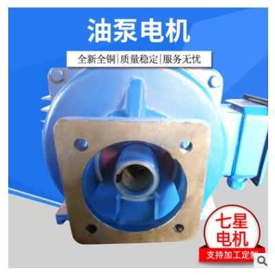 廠家直銷 TD系列油壓專用 11kw-6p 油泵電機(jī) 臥式