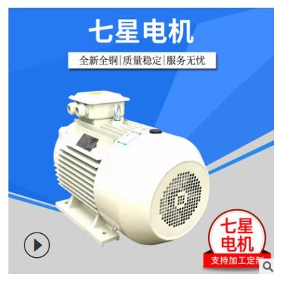 江蘇七星廠家銷售高溫注油嘴印染設(shè)備烘箱設(shè)備高溫環(huán)境電機(jī)