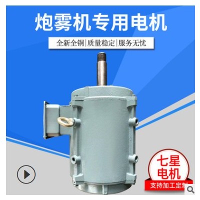 【炮霧三相電機(jī)】吊裝電機(jī)馬達(dá)三相異步電動馬達(dá)