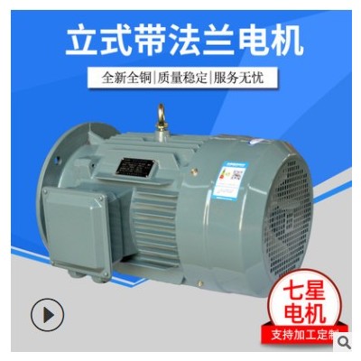 【立式帶法蘭電機(jī)】批發(fā)銷售立式帶法蘭電機(jī)七星電機(jī)