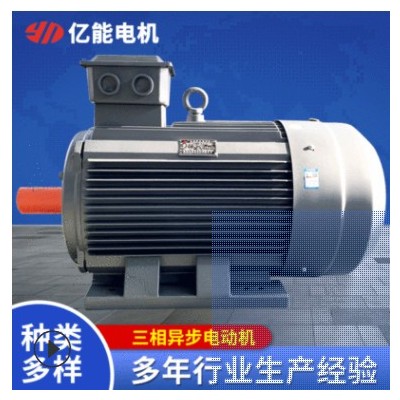 廠家供應(yīng) YX3系列80-355三相異步電動(dòng)機(jī) 銅電動(dòng)機(jī)