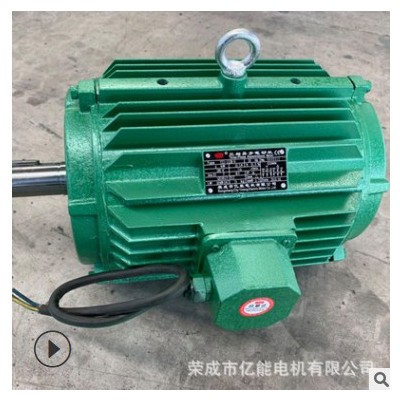 廠家供應(yīng) 冷卻塔用電機(jī)YX3-132M-8 4KW三相異步電動(dòng)機(jī)380V
