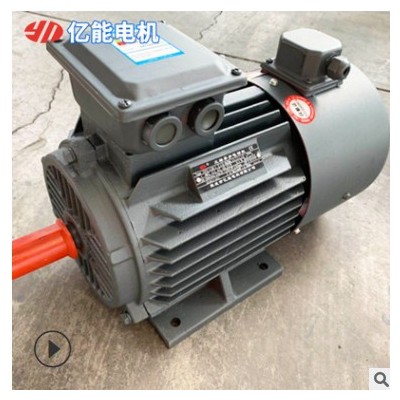 冷卻塔用YVF2系列電機(jī) 臥式250M-4 55KW振動(dòng)三相異步電動(dòng)機(jī)