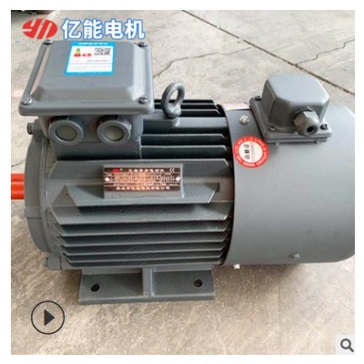 三相異步電動(dòng)機(jī)廠家 YVF2系列變頻電機(jī) 調(diào)速變速電動(dòng)機(jī)剎車