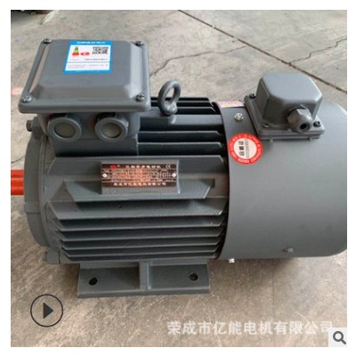 三相異步電動(dòng)機(jī)廠家供應(yīng)YVF2-250M-4 55KW電動(dòng)機(jī)380V變頻調(diào)速電機(jī)