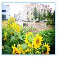 企業(yè)實(shí)景3_副本