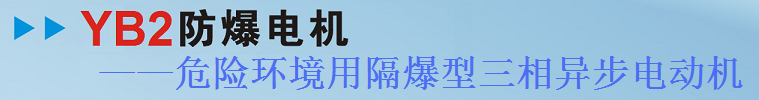 YB2防爆電機(jī)——危險(xiǎn)環(huán)境用隔爆型三相異步電動機(jī)
