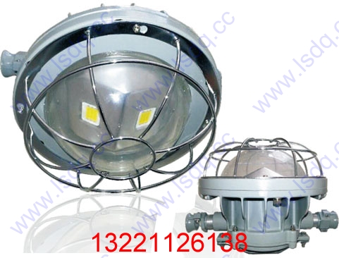 DGS40/127L礦用隔爆型LED巷道燈