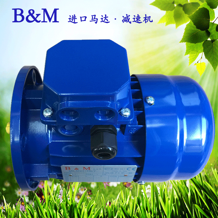 B&M電機(jī)-002