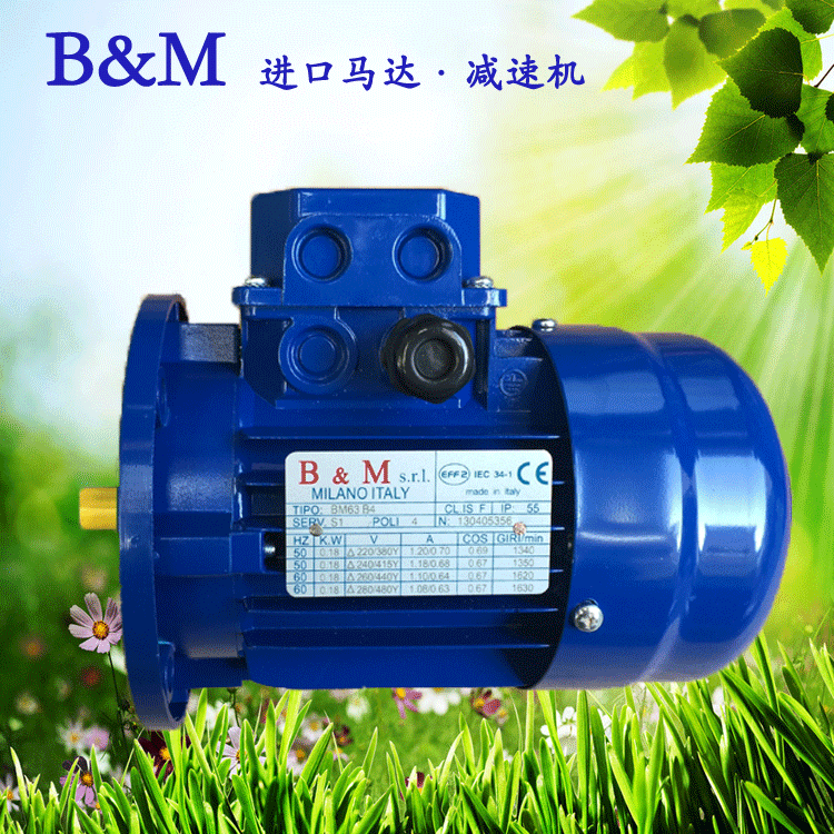 B&M電機(jī)-001