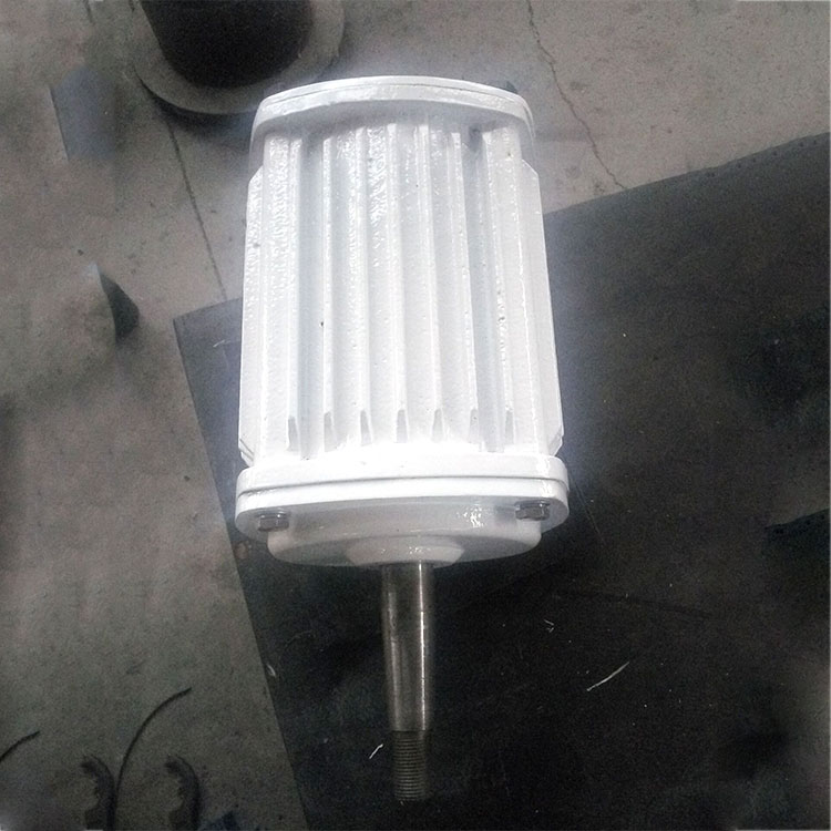 城小型發(fā)電機(jī)2500瓦交流發(fā)電風(fēng)力發(fā)電機(jī)