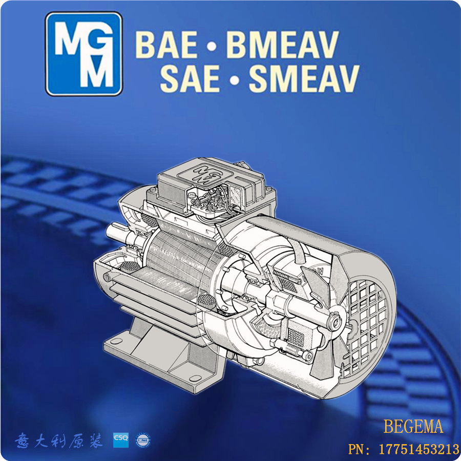 MGM電機(jī)BM004