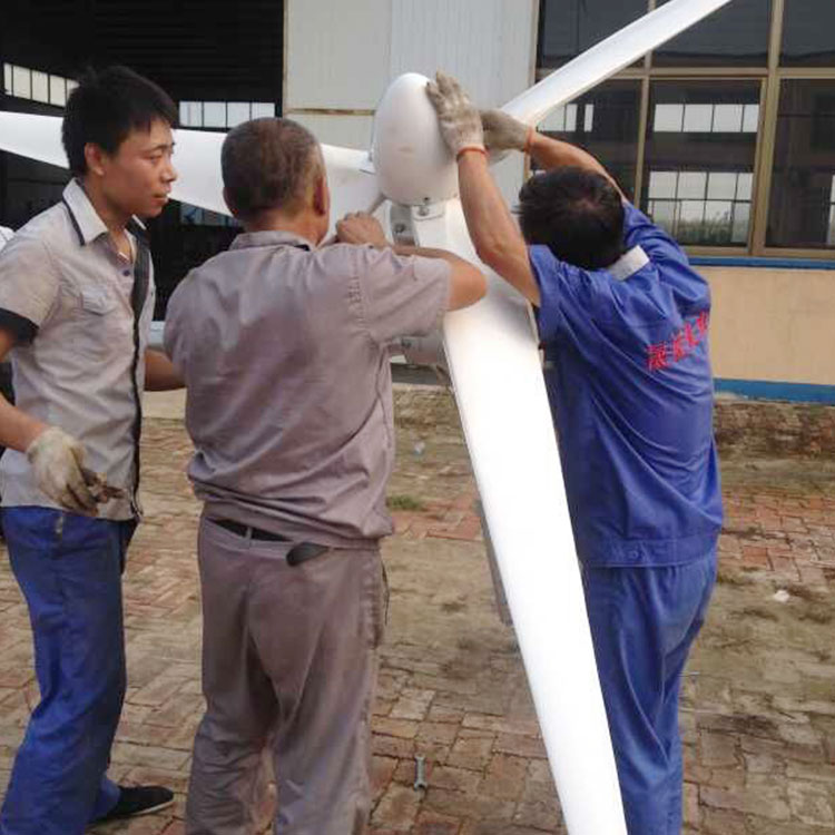 襄樊家用風(fēng)力發(fā)電機(jī)1kw廠家定制風(fēng)力發(fā)電機(jī)