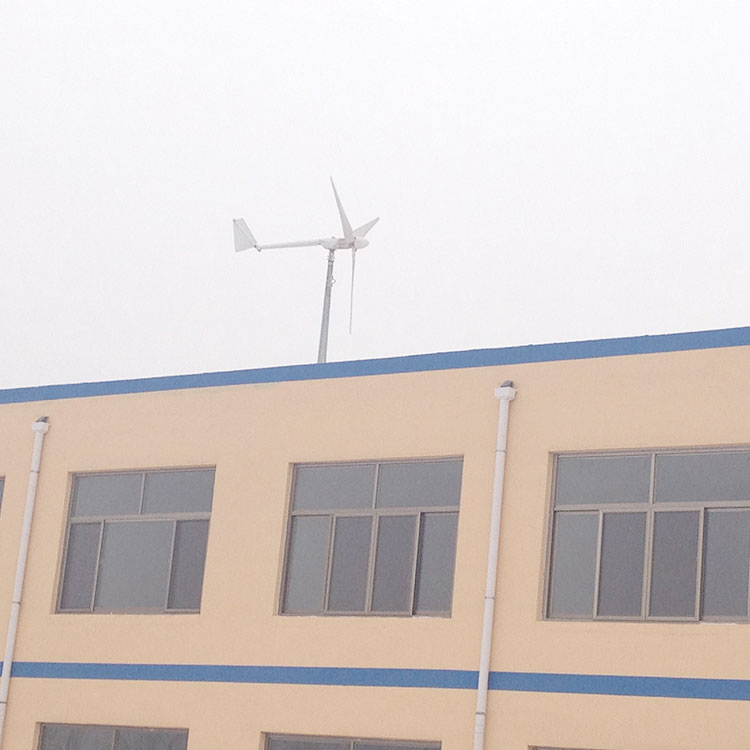 3000瓦小型風(fēng)力發(fā)電機(jī)美觀耐用養(yǎng)殖用風(fēng)力發(fā)電機(jī)