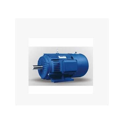變頻制動電動機YVEJ2-160L-4-15KW變頻制動電機加編碼器