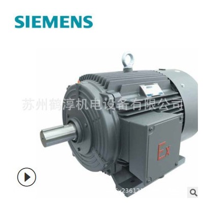 西門(mén)子貝得電機(jī)22KW 4極 臥式1TL0001-1EB43-3AA5-Z B3安裝