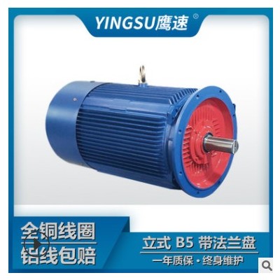 廠家直供馬達(dá)三相異步電動(dòng)機(jī)Y2-315L2-6極132kw 交流電380V/YE2