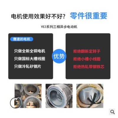 廠家直供Y180L-6極15kw千瓦三相異步電動(dòng)機(jī) 馬達(dá)全銅B35/YE2