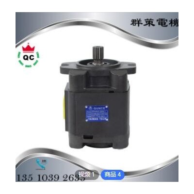 電機(jī)液壓油泵 東莞群策跨境批發(fā)出售大流量臥電機(jī)式鑄鐵液壓油泵