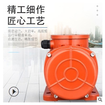 廠家直銷(xiāo)三相4極振動(dòng)電機(jī) 砂石分離振動(dòng)器振動(dòng)電機(jī) 振動(dòng)篩電機(jī)