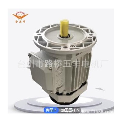 廠家直供可加工定制三相電動機(jī)三相電機(jī)馬達(dá)鋁殼電機(jī)批發(fā)