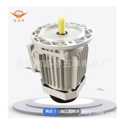 廠家直供三相異步電機(jī)三相電動機(jī)三相電機(jī)可加工定制批發(fā)