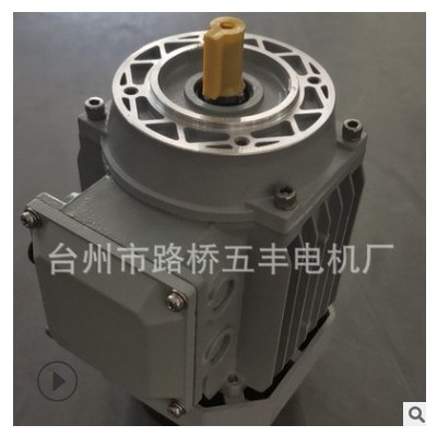 廠家供應(yīng).三相電機(jī).三相異步電動(dòng)機(jī).馬達(dá).Y2-7134 0.55kW鋁殼電機(jī)