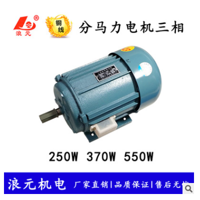 小型三相電機(jī)250W 370W 550W 750W分馬力異步電動(dòng)機(jī)純銅380V軸16