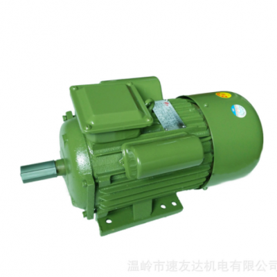 浪元單相大馬力電機(jī)3kw 4kw 軸直徑28