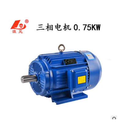 三相異步電動(dòng)機(jī)380V電機(jī)0.75KW YE2-801-2/YE2-802-4/YE2-90S-6