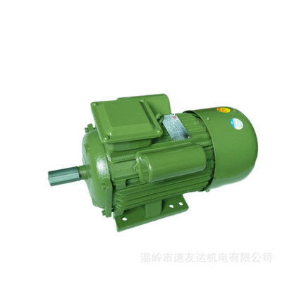 浪元單相大馬力電機(jī)3kw 4kw 軸直徑28