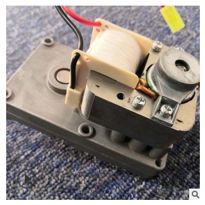 跨境 工廠直銷木屑顆粒爐壁爐水暖爐送料電機(jī)馬達(dá)110V~240V