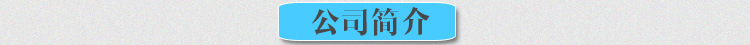 公司簡介