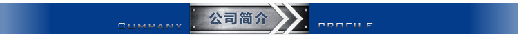 公司簡介
