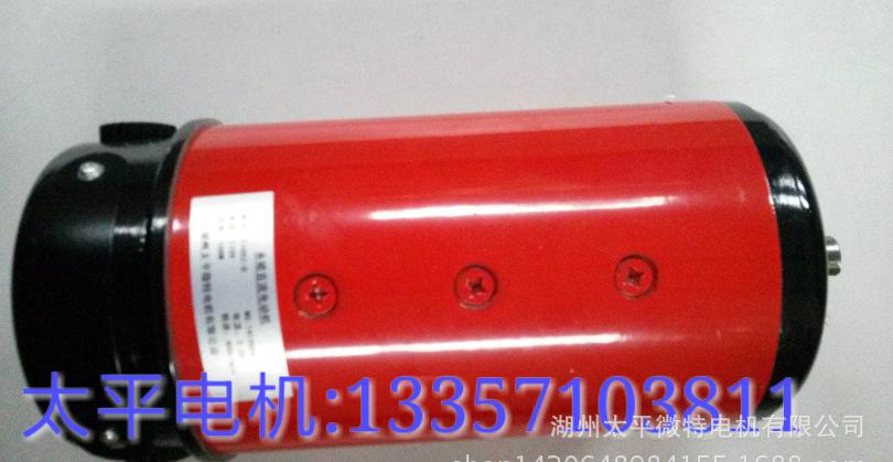 110-106W電機(jī)