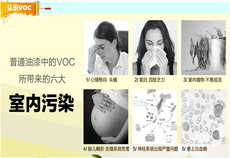 內(nèi)墻涂料 室內(nèi)涂料 乳膠漆 涂料 油漆