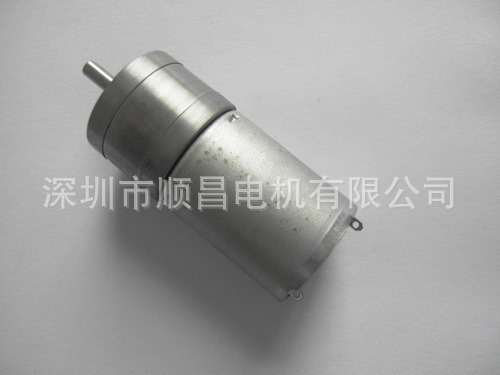 SDC12591