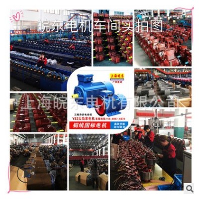 廠家直供11KW三相異步電動機YE2-160M1-2-11KW三相電機