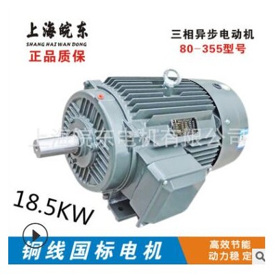 廠家直供18.5KW三相異步電動機YE2-200L1-6- 18.5kw高效節(jié)能電機