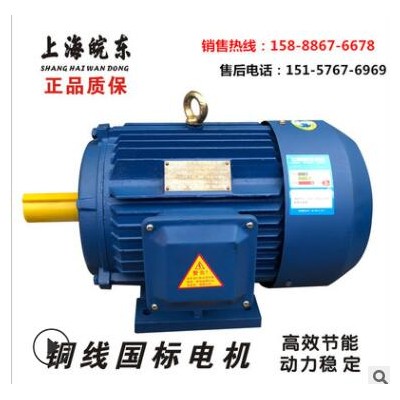 廠家直供45KW三相異步電動機 YE2-225M-4-45千瓦高效節(jié)能電機