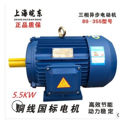 生產(chǎn)各種電機(jī)三相異步電動(dòng)機(jī)馬達(dá)Y,YE2,YE3,YCT,YX3,YVP YEJ 4P極