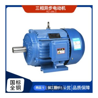 廠家直供三相異步電動(dòng)機(jī)馬達(dá) YE2-100L-2 3KW 高效電機(jī)全銅國標(biāo)