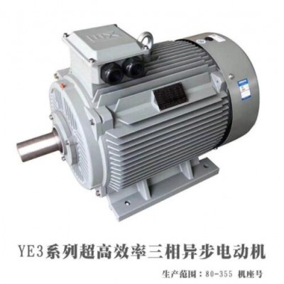 廠家直供18.5KW三相異步電動(dòng)機(jī)YE2-200L1-6 18.5kw高效節(jié)能電機(jī)