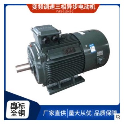 廠家直供三相異步電動(dòng)機(jī)馬達(dá)YVF2315M2-2 160KW高效電機(jī)全銅國標(biāo)